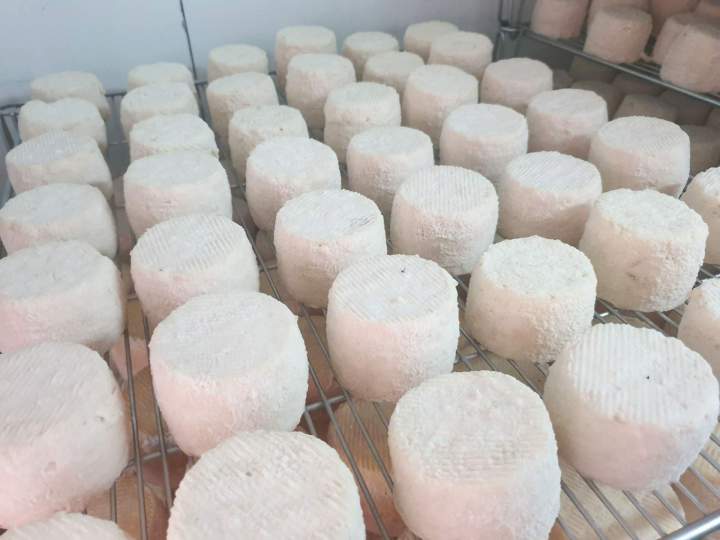 Fromage au lait de la ferme Venas