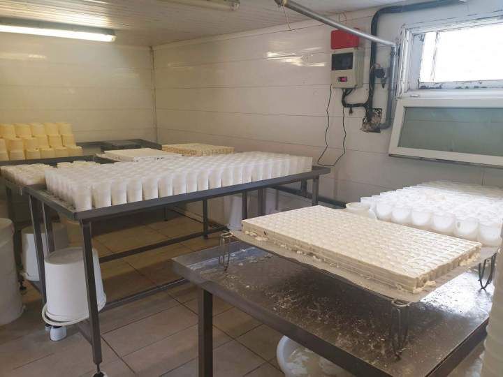 Atelier fromage Venas